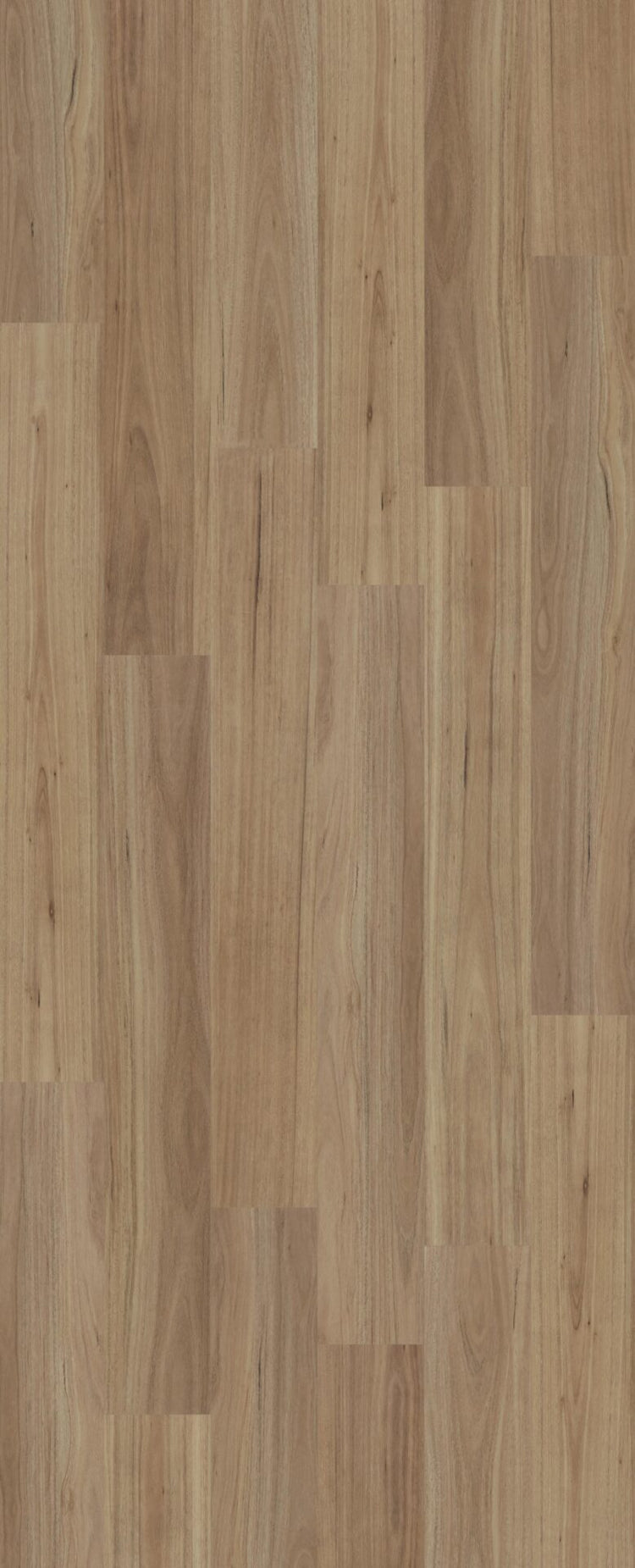 1708-Blackbutt-Hybrid-7MM