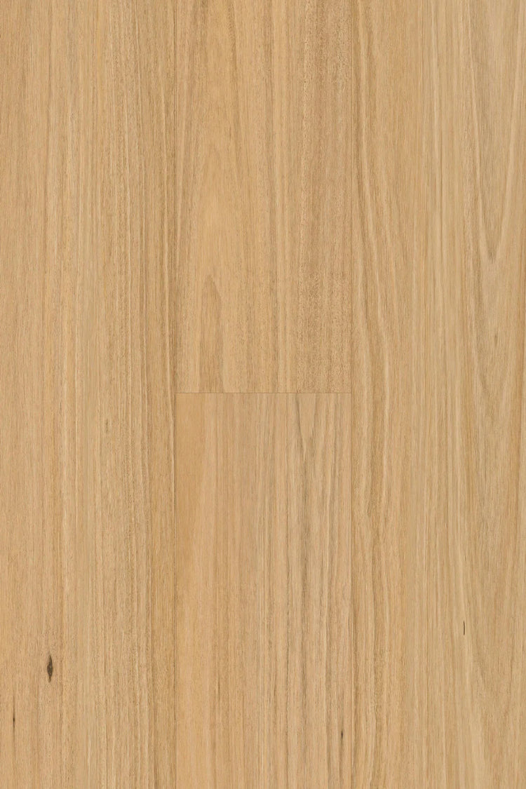 Topdeck Pantora Amor Collection Blackbutt Laminate Flooring