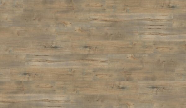 Cloldwalk COOL GREY-Classic-Laminate-12.3mm