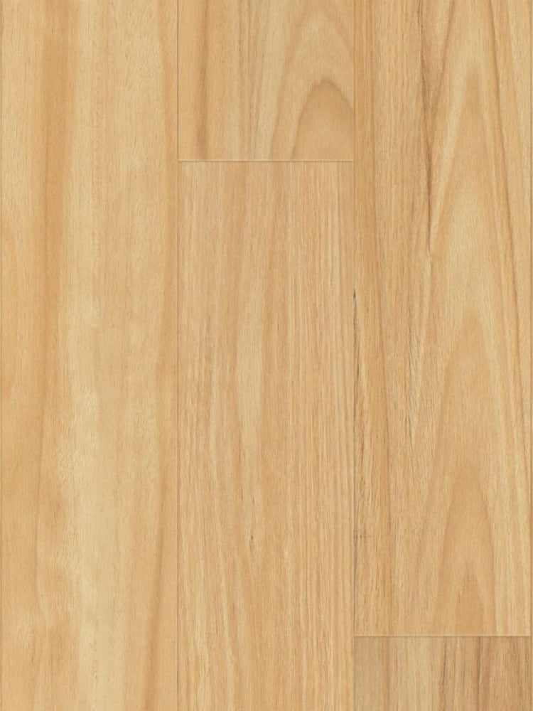 Hydrocore Laminate 8mm - Blackbutt (WF807)