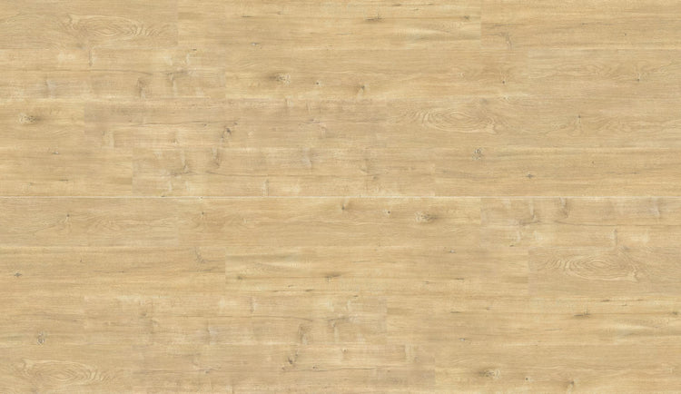 Cloudwalk IMPRESSIVE OAK-Classic-Laminate-12.3mm