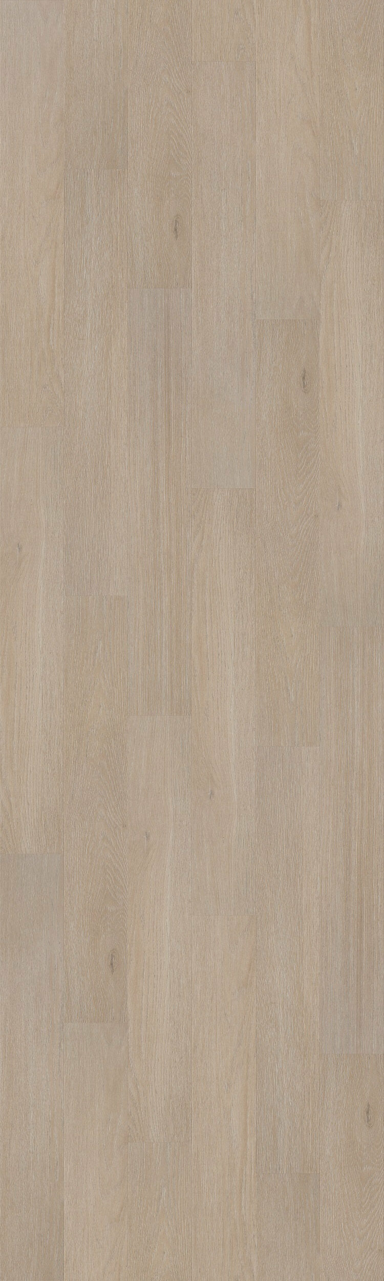 NFD Mirage Winter Laminate Flooring