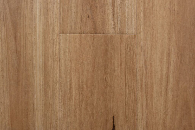 FSOZ2504 Blackbutt Laminate 12mm AC4 *Special Offer*
