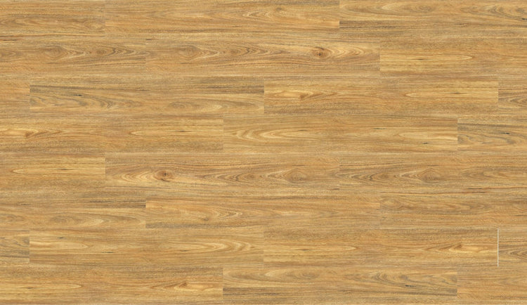 SPOTTED GUM-Aqua-Laminate-12.3MMM