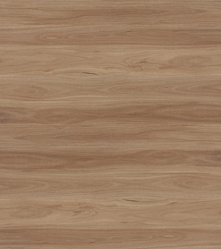 1608-Blackbutt-Hybrid-6.5MM