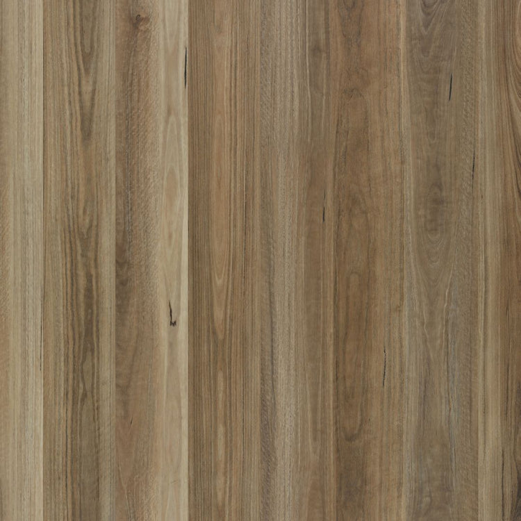 Lumiere Ultra HD Spotted Gum Hybrid Flooring