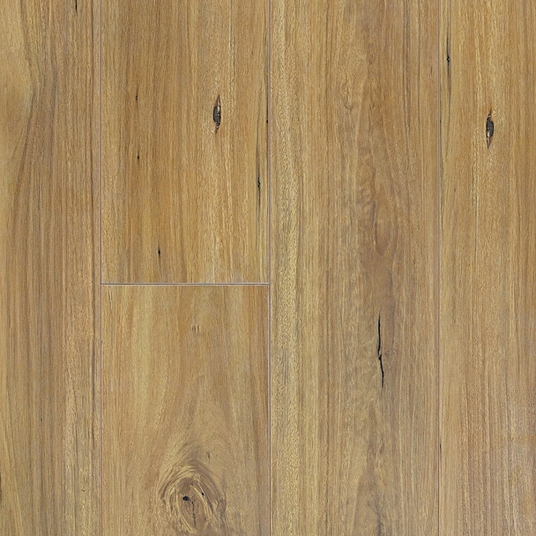 Prime Contemporary Plus New England Blackbutt Laminate Flooring