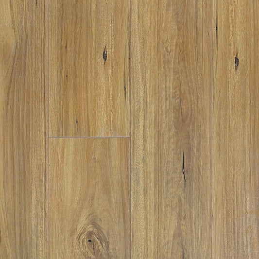 Prime Contemporary Plus New England Blackbutt Laminate Flooring