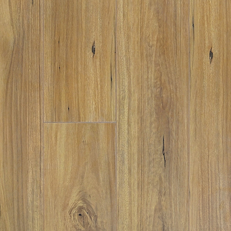 Prime Contemporary Plus New England Blackbutt Laminate Flooring