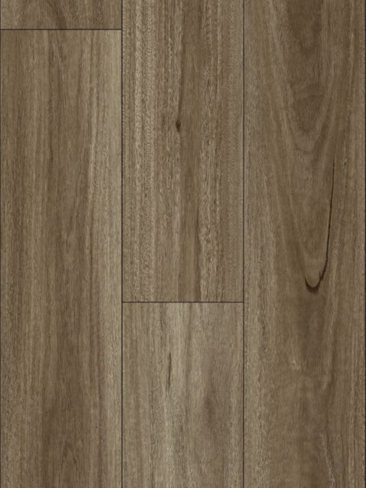 AquaGlow Laminate 12mm - Spotted Gum (WF08)