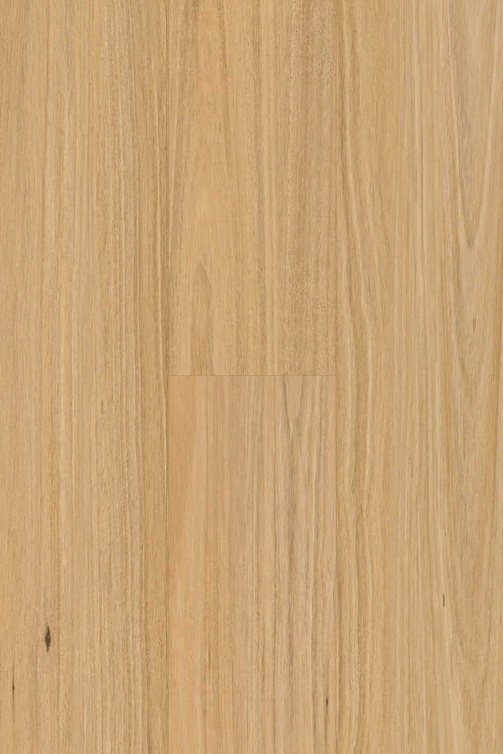 Topdeck Pantora Amor Collection Blackbutt Laminate Flooring