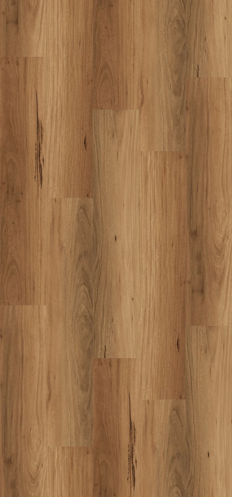 NFD Calloway Frontier Blackbutt Vinyl Plank Flooring