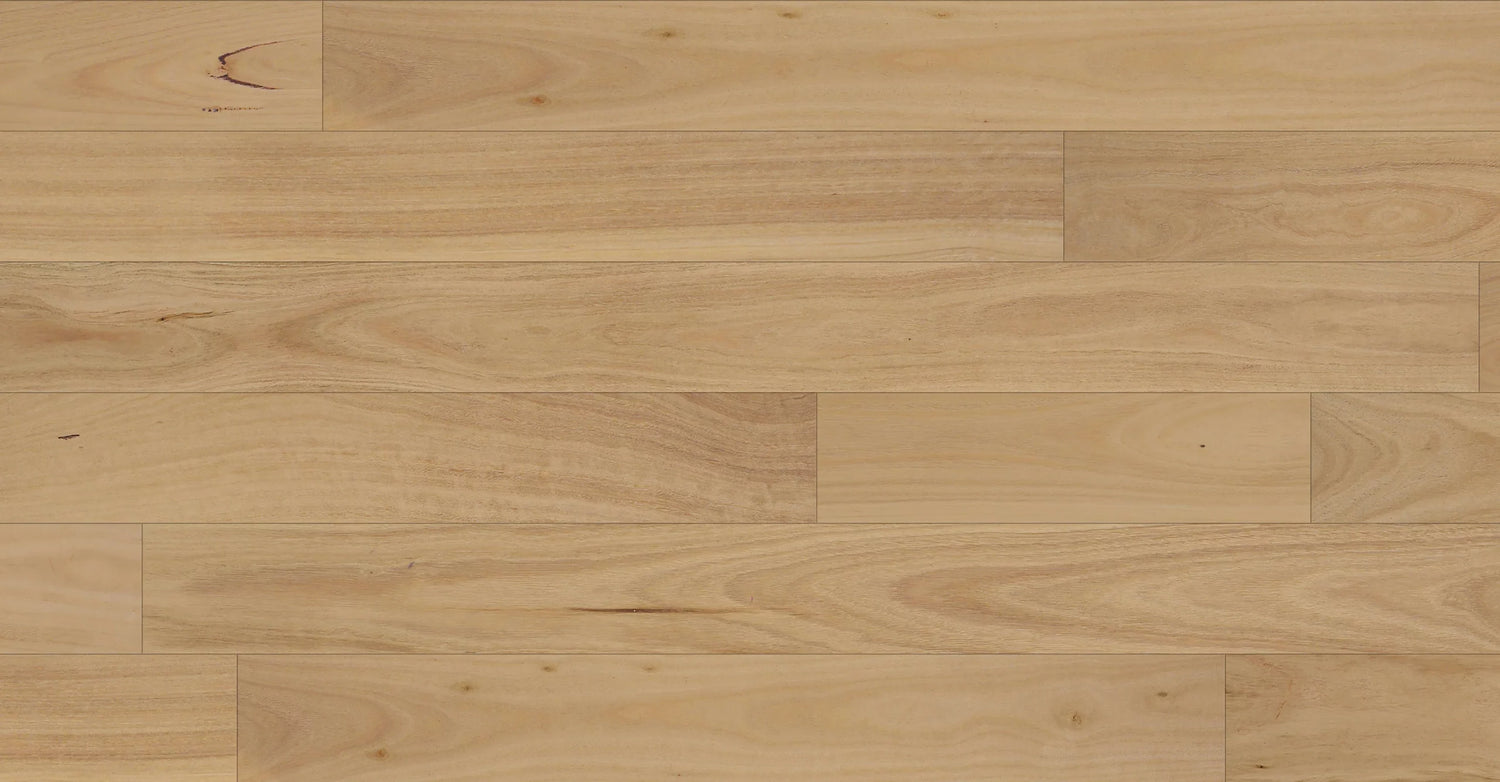 NFD Daintree XL Blackbutt Engineered Timber Flooring