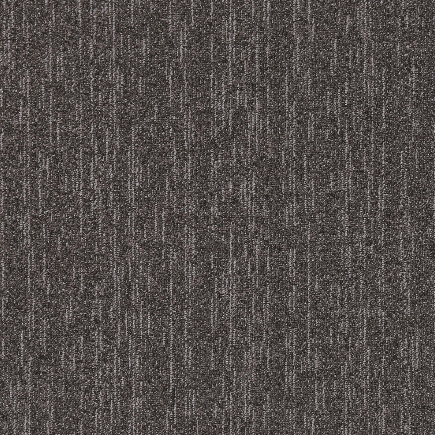 NFD Evolve Black Rhino Carpet Tiles