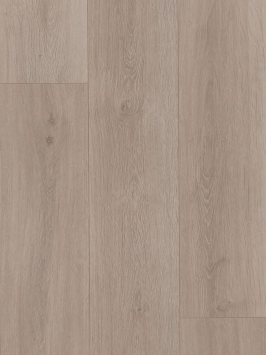 MTF Laminate 12mm - Towny Oak (MTFA109)