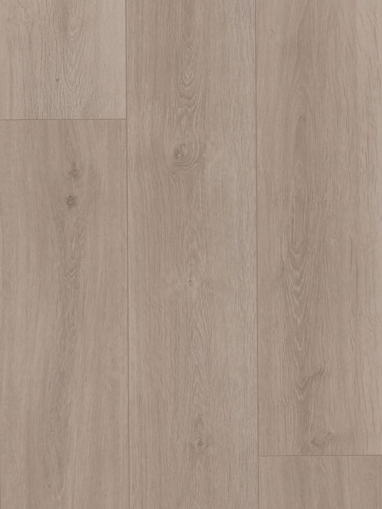 MTF Laminate 12mm - Towny Oak (MTFA109)