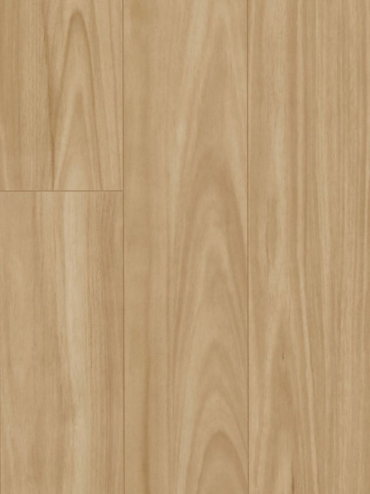 MTF Laminate 12mm - Blackbutt (MTFA110)
