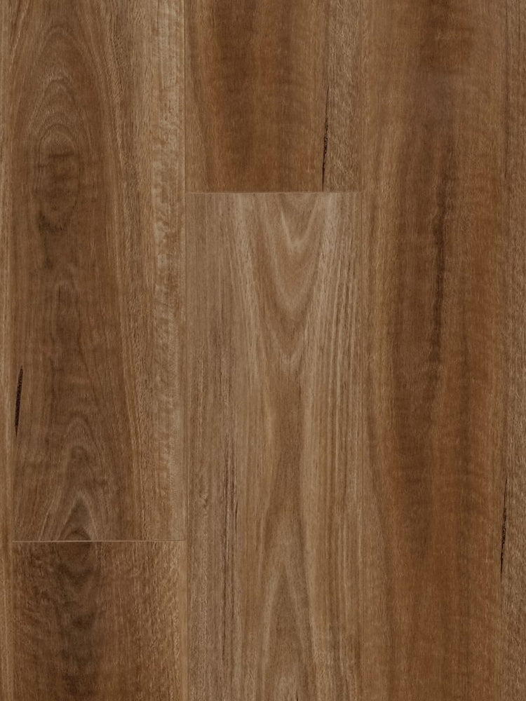 MTF Laminate 12mm - Spotted Gum (MTFA115)