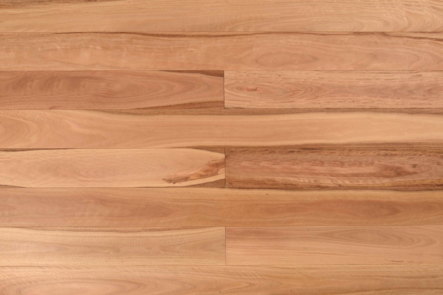 Wooden-Land Pacific Blackbutt Engineered Timber Flooring
