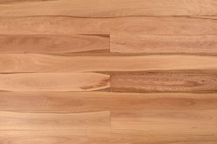 Wooden-Land Pacific Blackbutt Engineered Timber Flooring