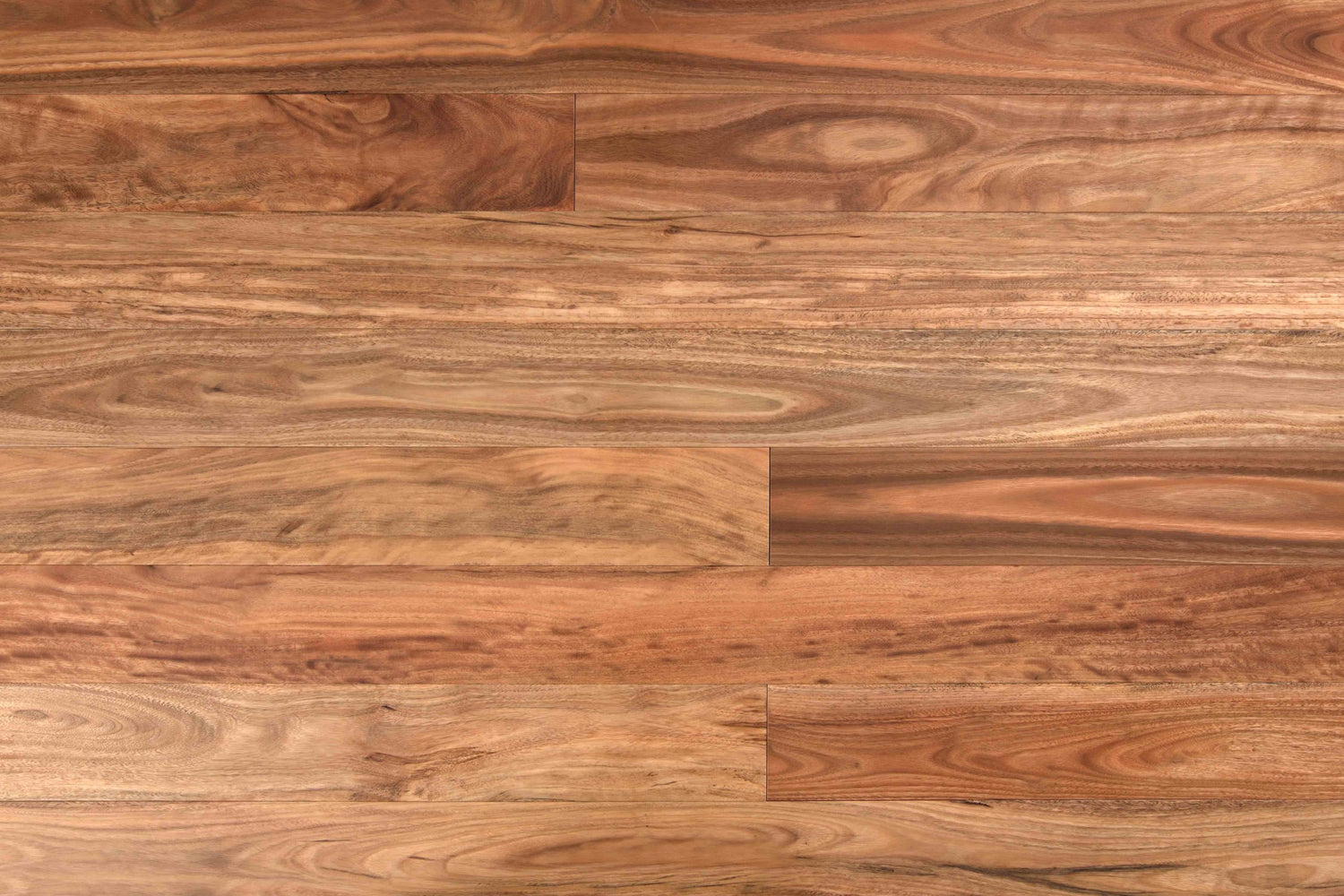 Wooden-Land Pacific Spotted Gum Engineered Timber Flooring