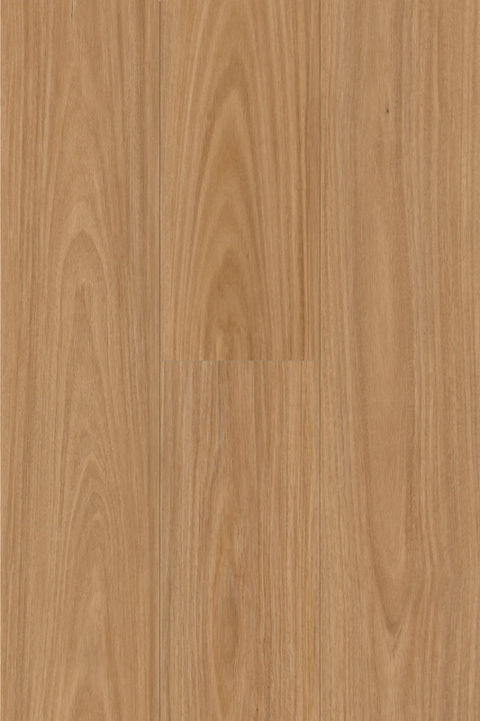 Topdeck Pantora Lifestyle Collection Raw Blackbutt Laminate Flooring