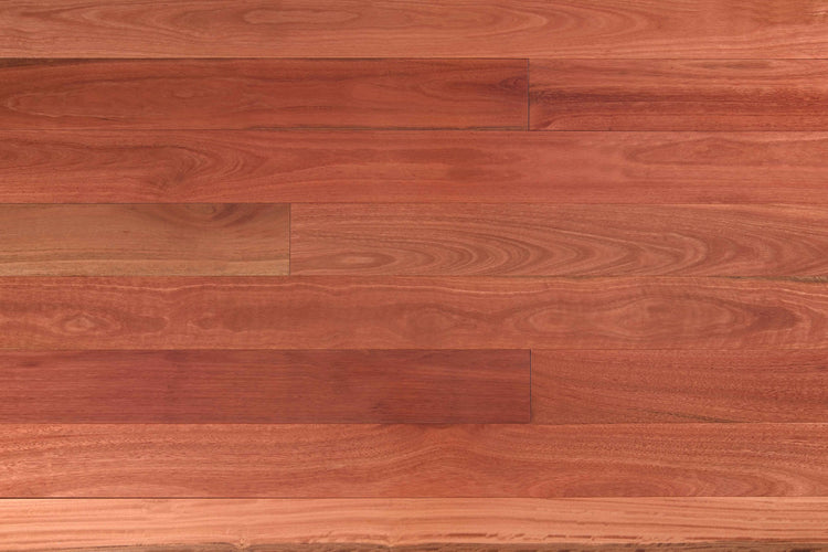 Wooden-Land Sydney Blue Gum Engineered Timber Flooring