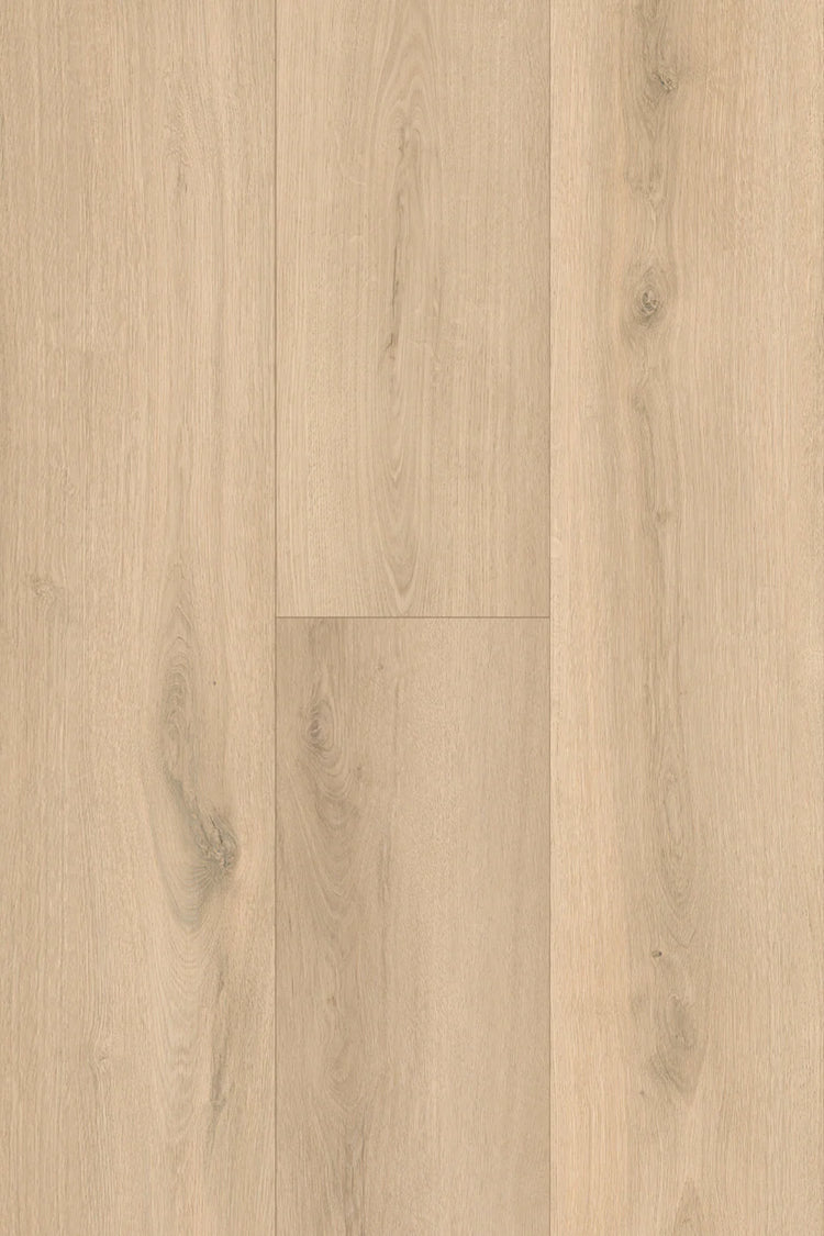 Topdeck Pantora Amor Collection Ivory Sand Oak Laminate Flooring