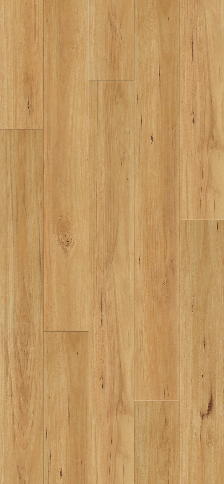 leyton laminate 1 2m blackbutt original supplier flooring texture