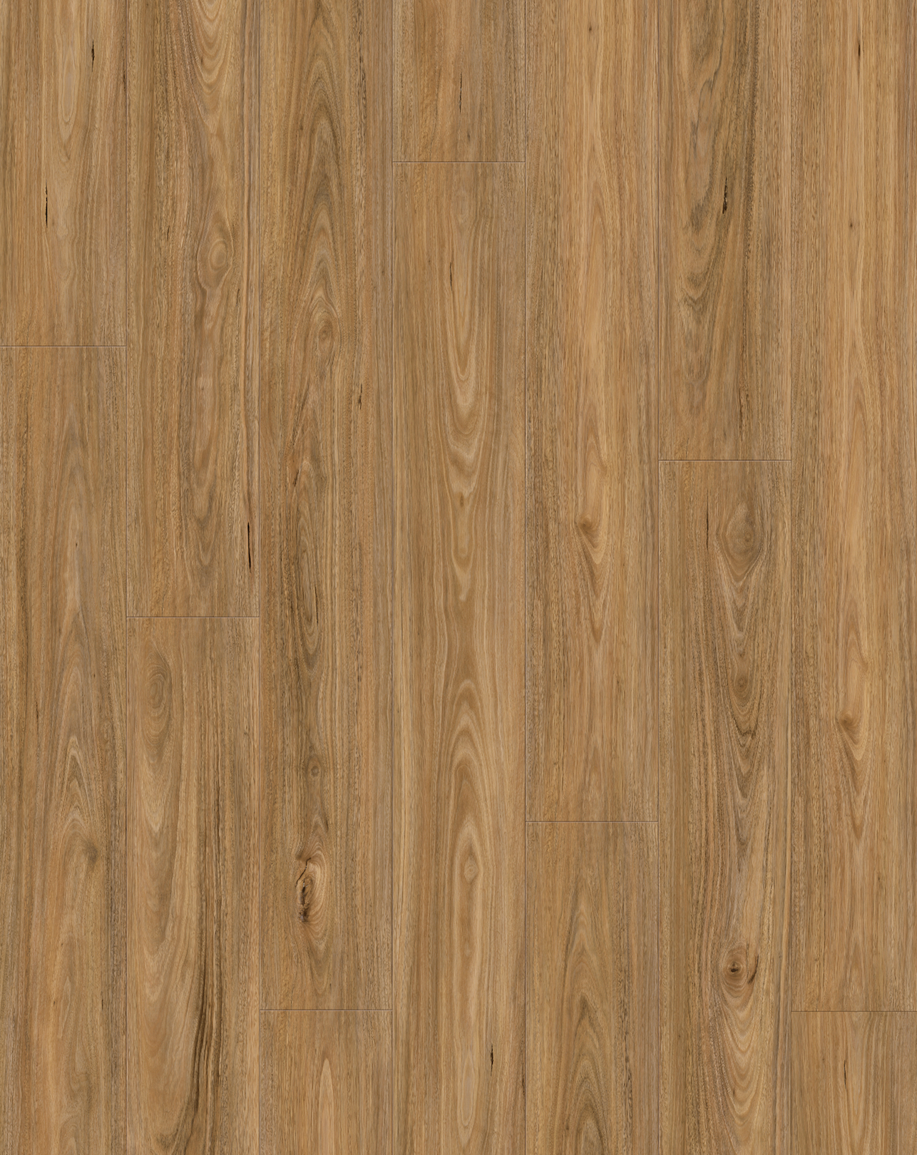 leyton laminate 1 2m spotted gum original supplier flooring texture