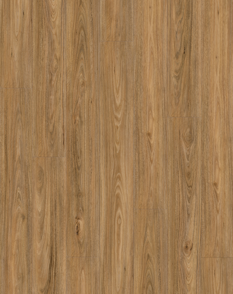 leyton laminate 1 2m spotted gum original supplier flooring texture
